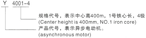 西安泰富西玛Y系列(H355-1000)高压右江三相异步电机型号说明